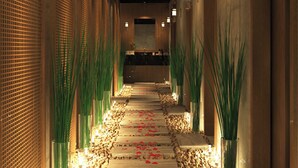 A corridor with a stone pathway, green plants, and wall-mounted lights.