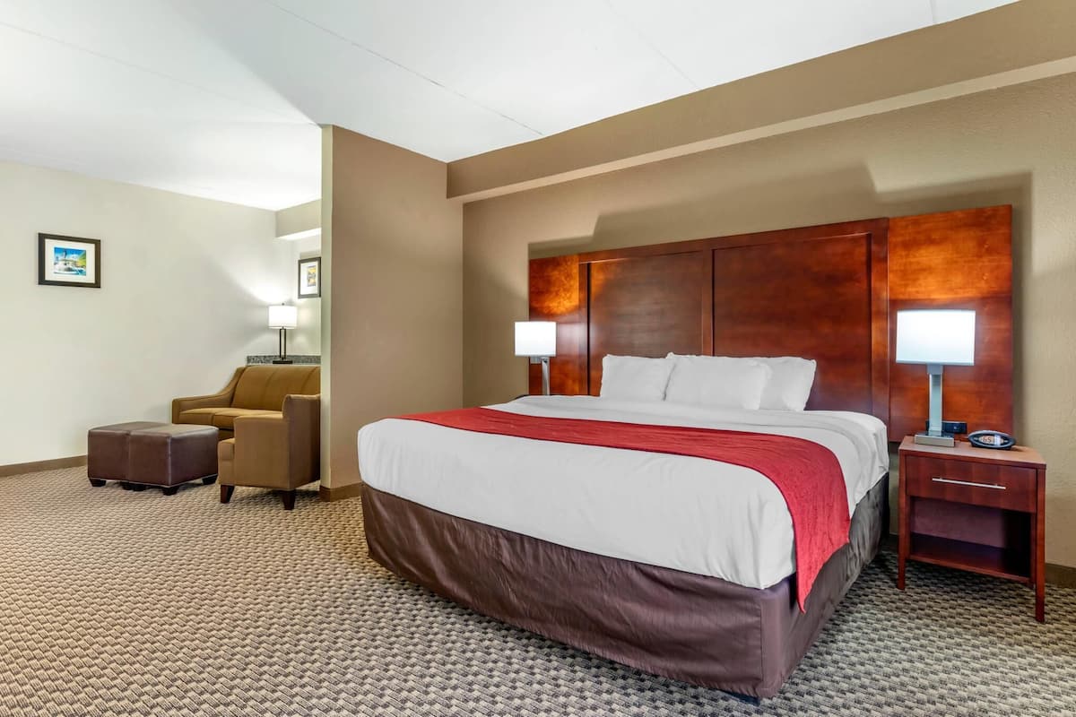 Suite, 1 Katil Raja (King), Accessible, Non Smoking | Meja, seterika/papan seterika, Wi-fi percuma, jam penggera 