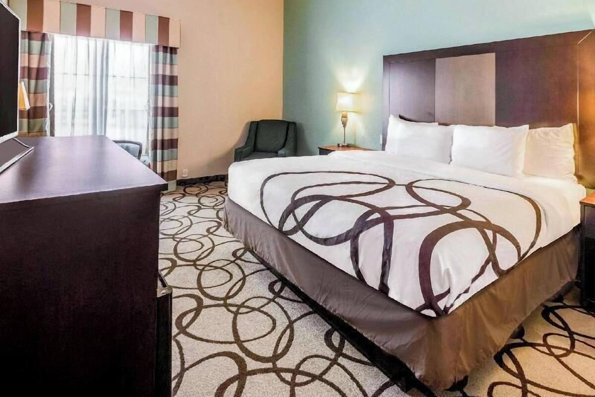 Ropa de cama de alta calidad, escritorio y cortinas blackout