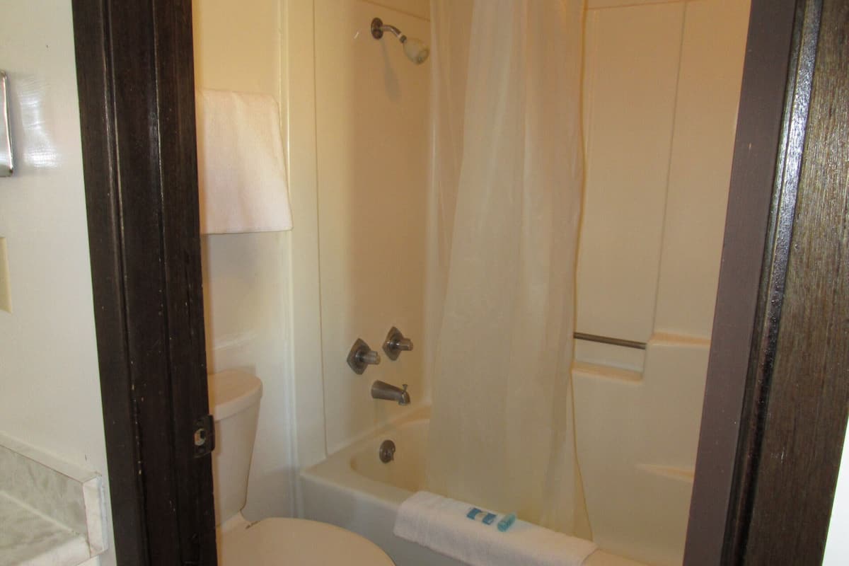 A bathroom with a toilet, a bathtub, and a shower curtain.