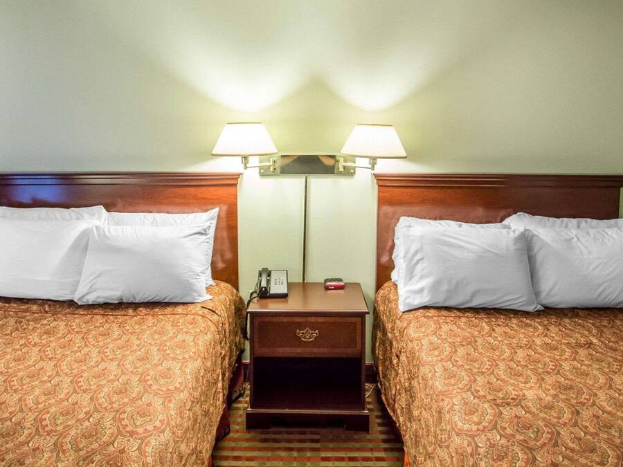 A hotel room with two beds, each with a patterned bedspread and white pillows. There is a nightstand between the beds with a lamp, a phone, and a small table.
