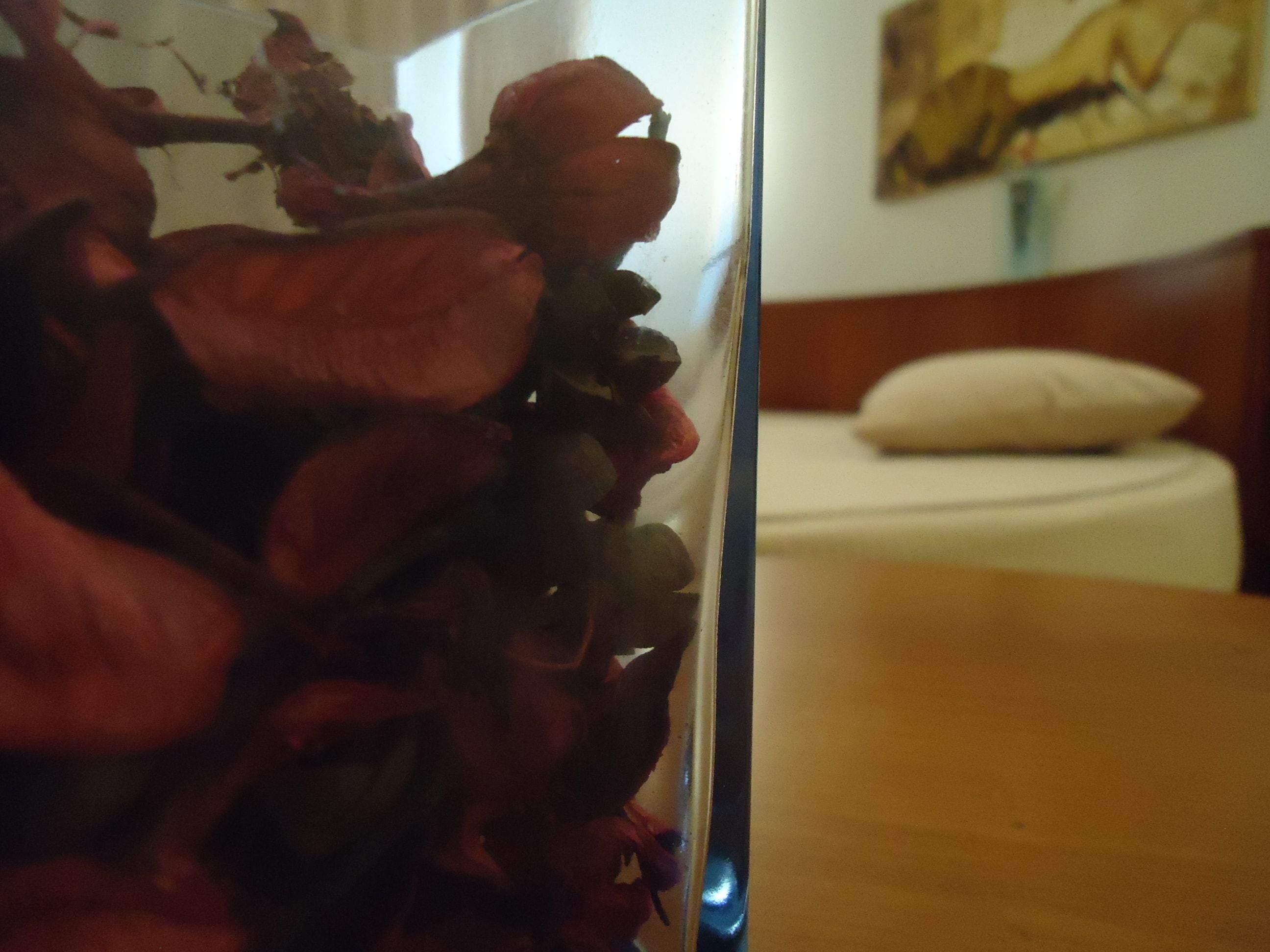 Foto - Hotel Pombeira