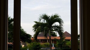 A view through a window of a building with a palm tree and a fountain in the foreground, and a building with a red roof in the background.