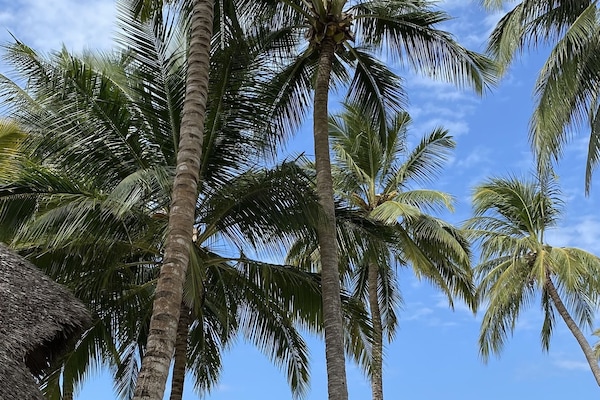 Am Strand, weißer Sandstrand, Liegestühle, Sonnenschirme