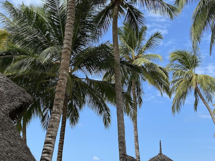 On the beach, white sand, sun-loungers, beach umbrellas