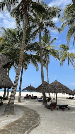 On the beach, white sand, sun-loungers, beach umbrellas. Pinewood Beach Resort and Spa