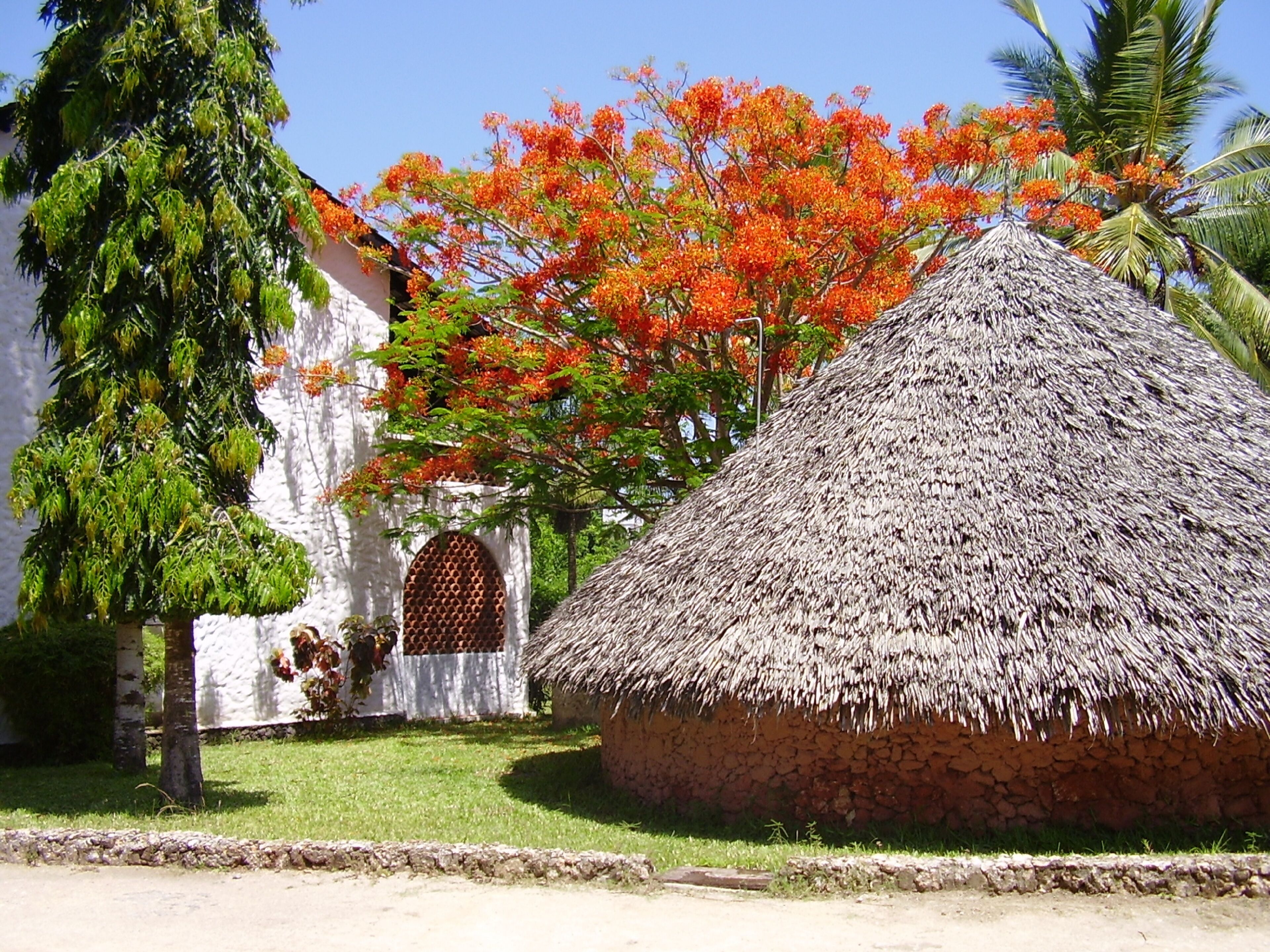 A traditional thatched-roof hut with a stone wall, surrounded by lush greenery and a tree with red foliage.