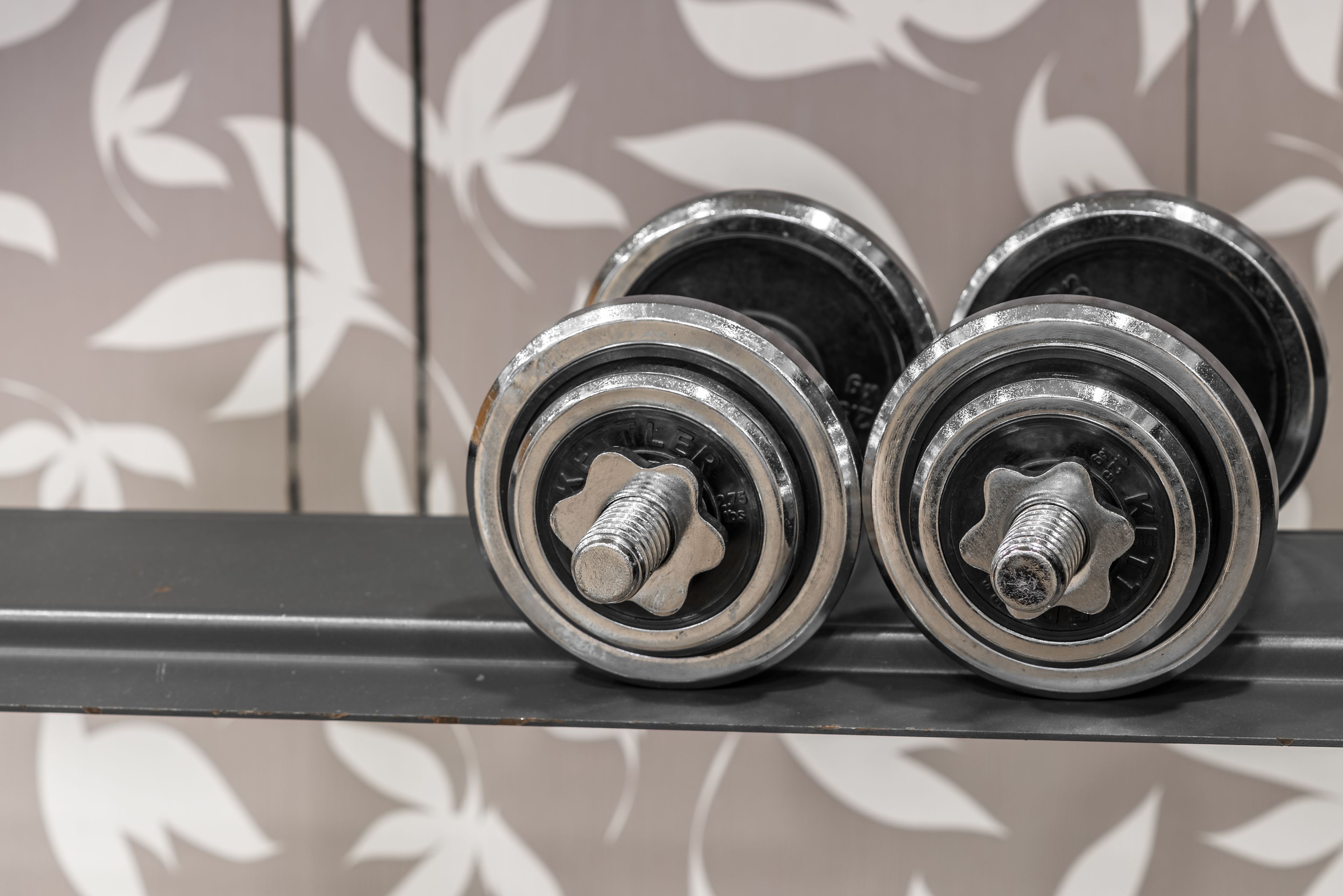 Three weight plates on a rack.