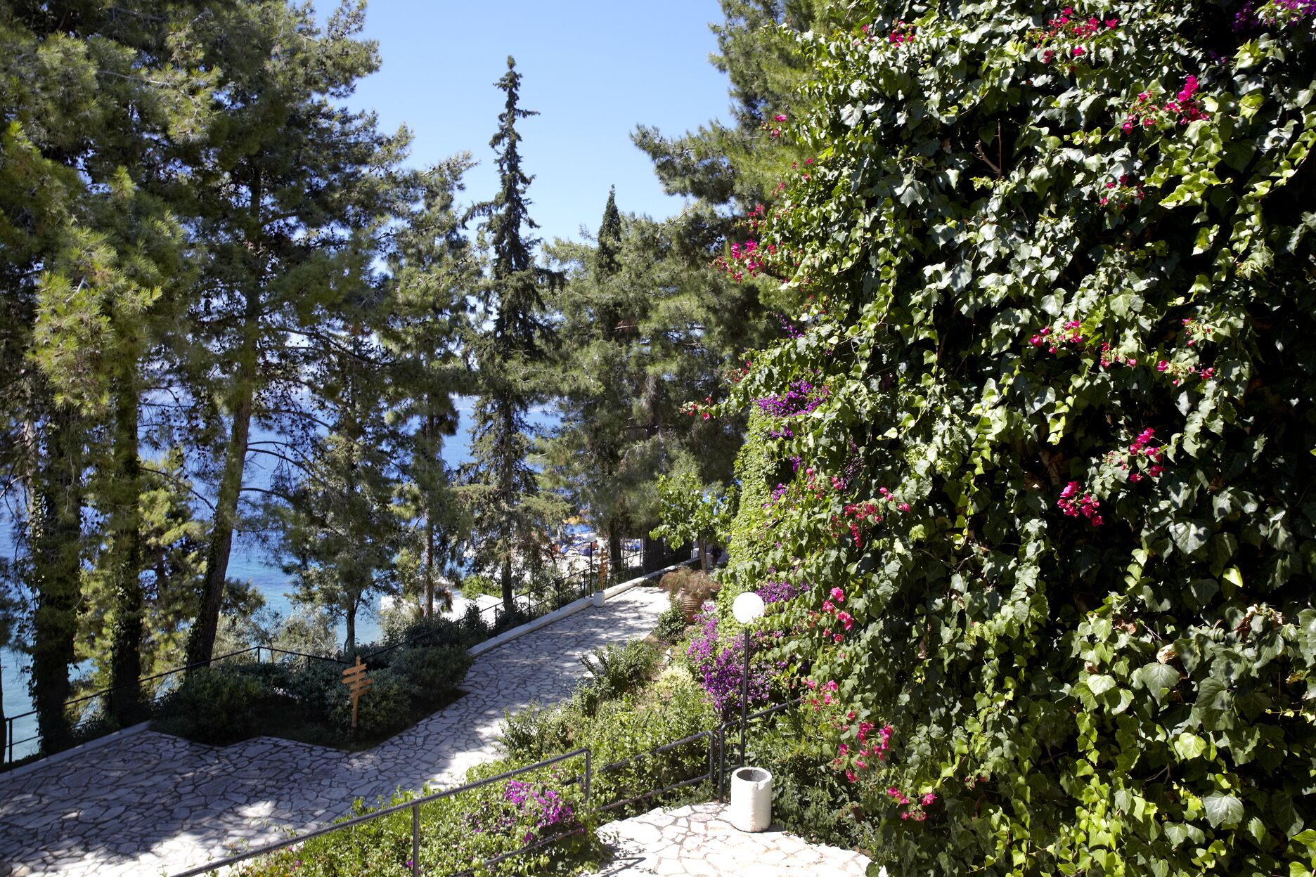 A stone pathway leading to a body of water, surrounded by dense greenery and tall trees.