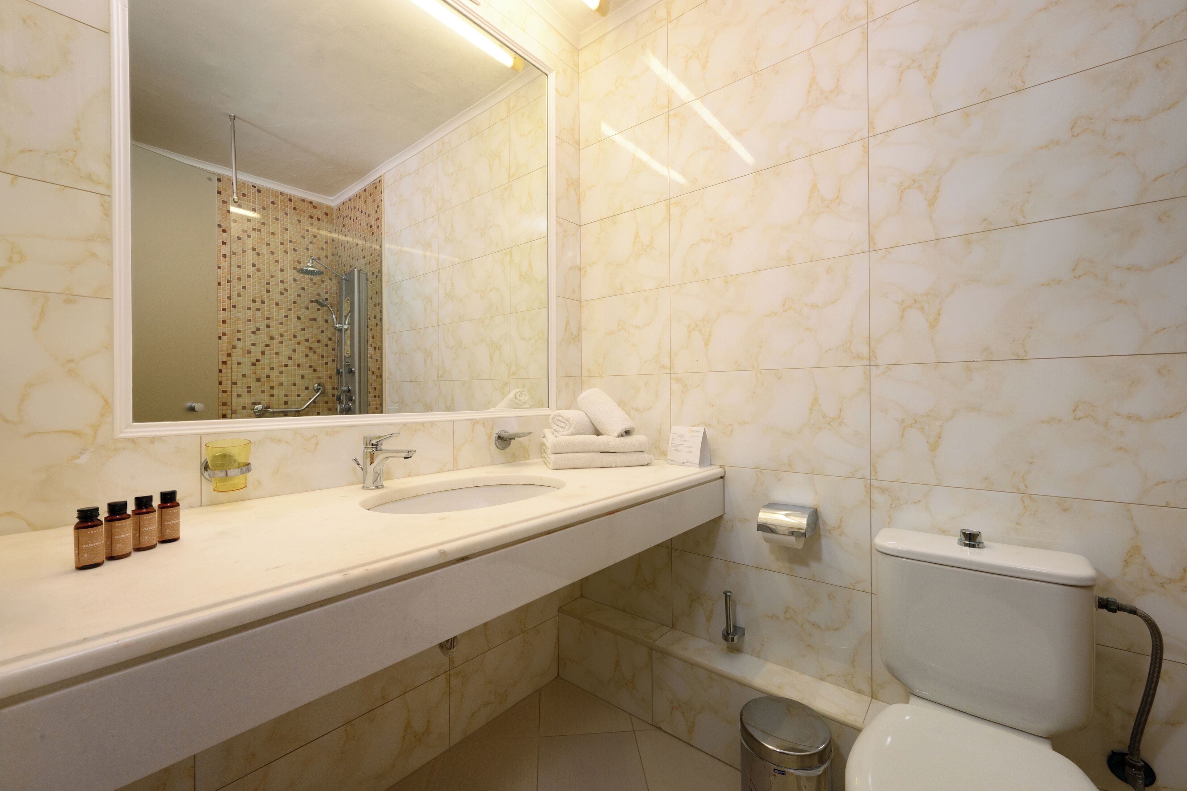A bathroom with a marble sink, a large mirror, a toilet, and a trash can.