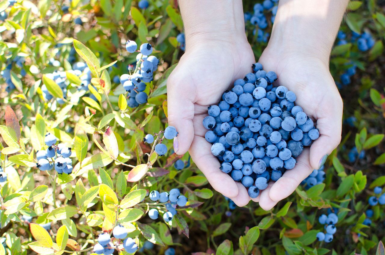 children’s activities