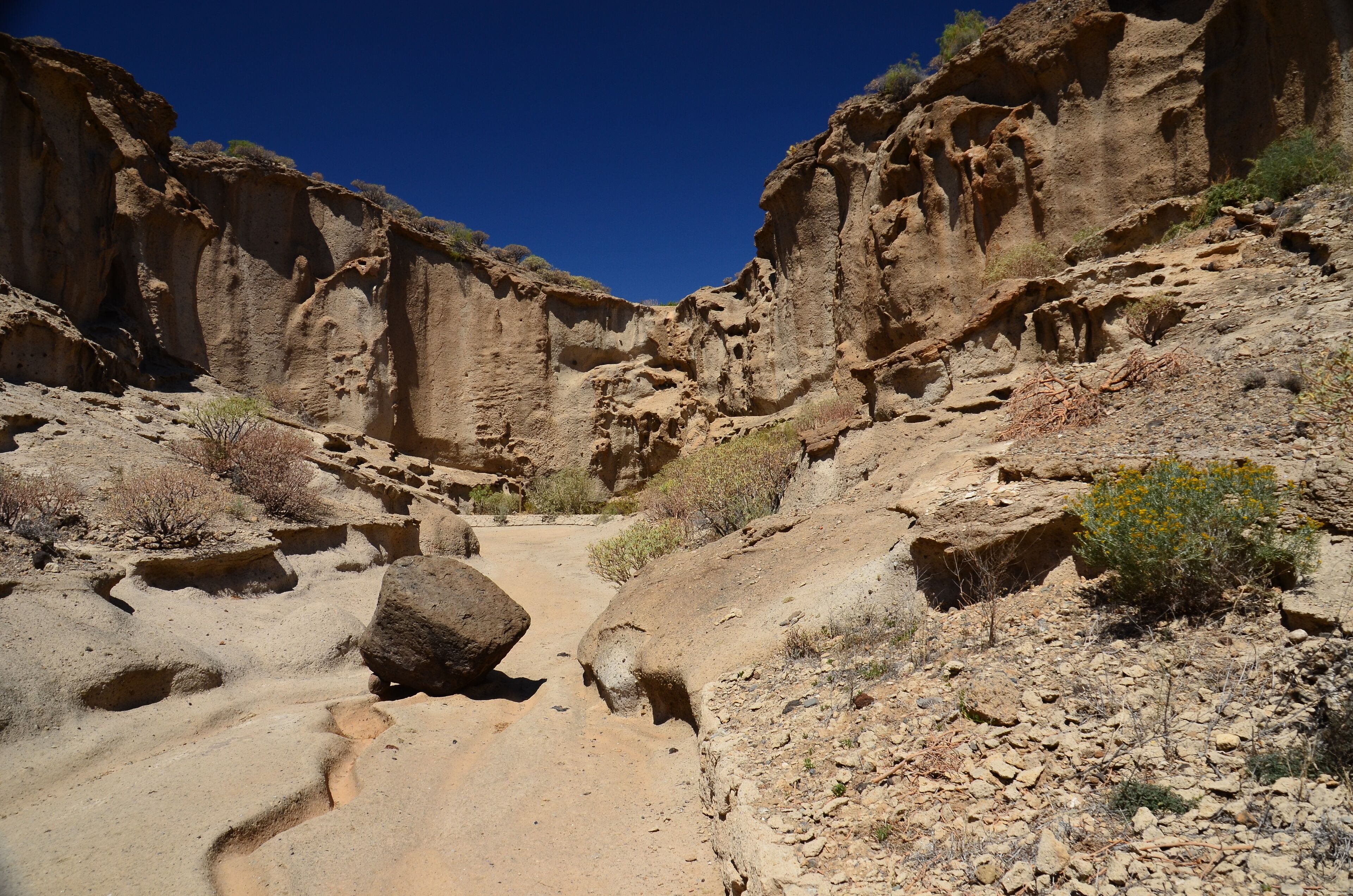 Foto - Barceló Tenerife