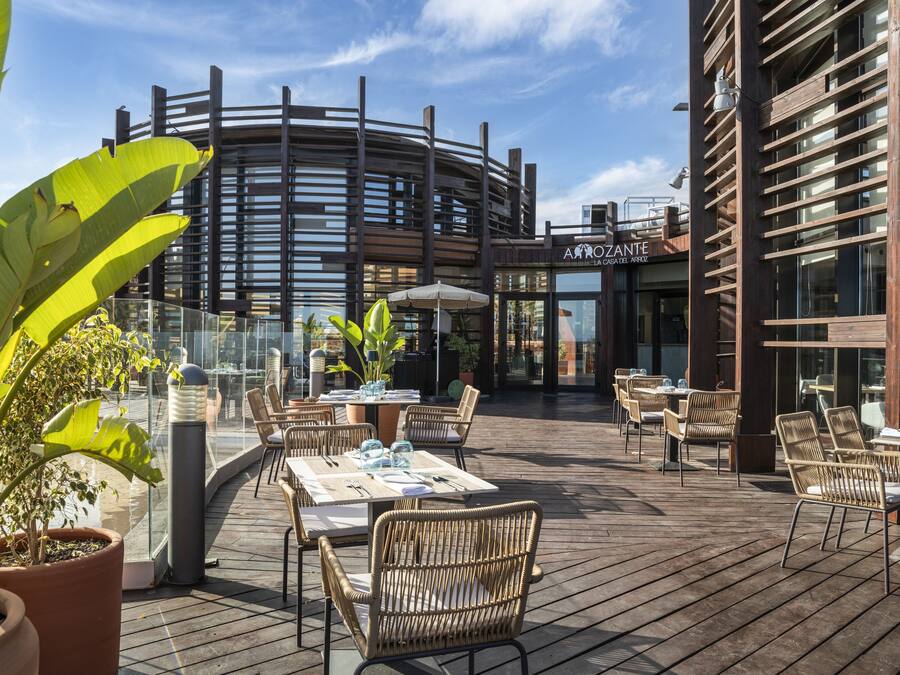 Un área de comedor al aire libre con mesas y sillas, plantas en macetas y un edificio con un letrero que dice "AMOZANTE".