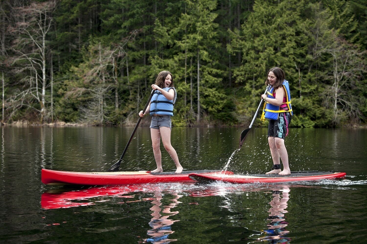 Zwei Personen stehen auf Paddleboards auf einem ruhigen See, umgeben von dichtem Wald.
