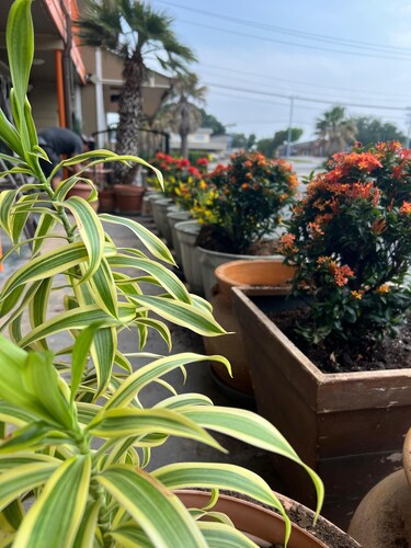 Regency Inn - Fort Sam Houston