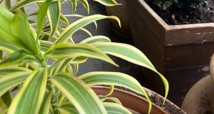 Regency Inn - Fort Sam Houston