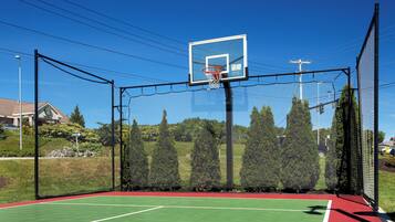 A basketball court with a netted enclosure, a basketball hoop, and a green playing surface.