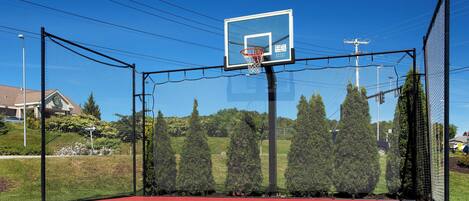Ein Basketballplatz mit Netzumrandung, einem Basketballkorb und einer grünen Spielfläche.