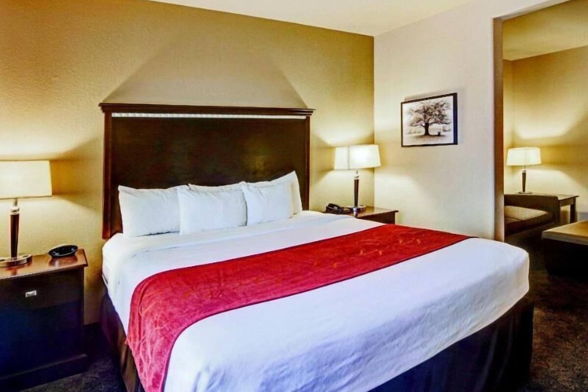 A hotel room with a large bed, two bedside tables, a nightstand, a wall-mounted lamp, and a framed picture.