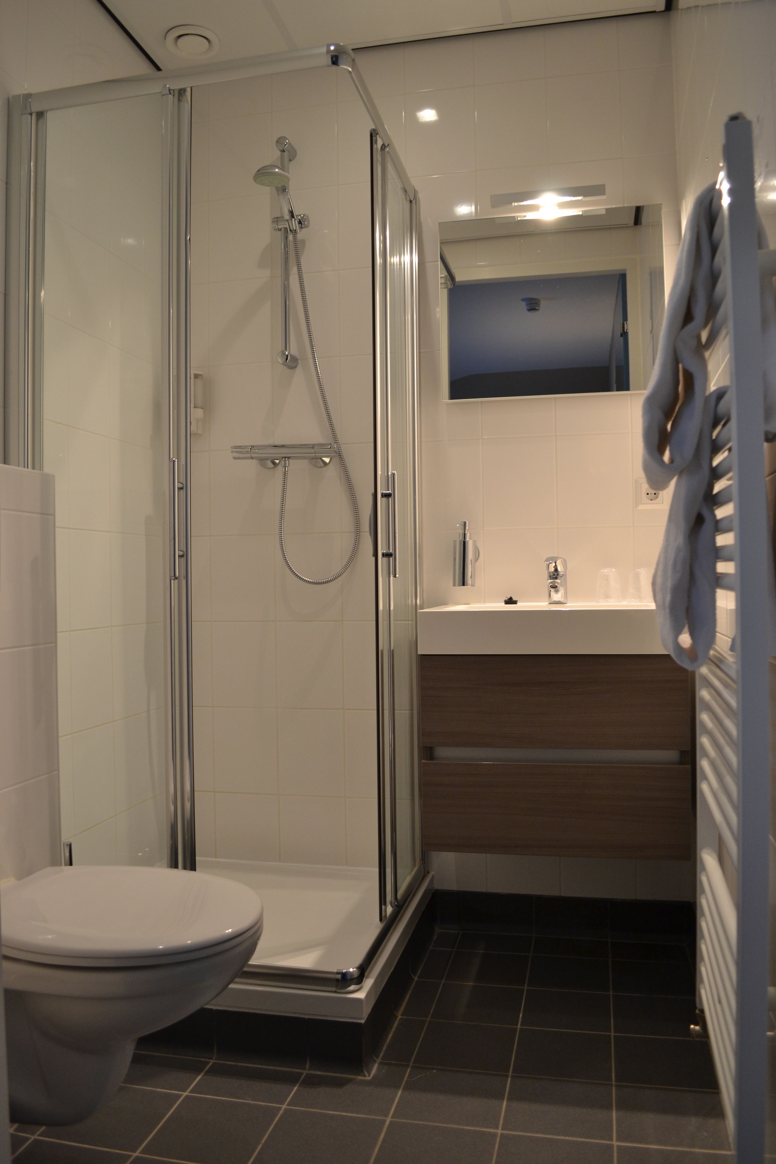 Een moderne badkamer met een glazen douchecabine, een wit toilet, een wastafel met spiegel erboven en een handdoekrek.