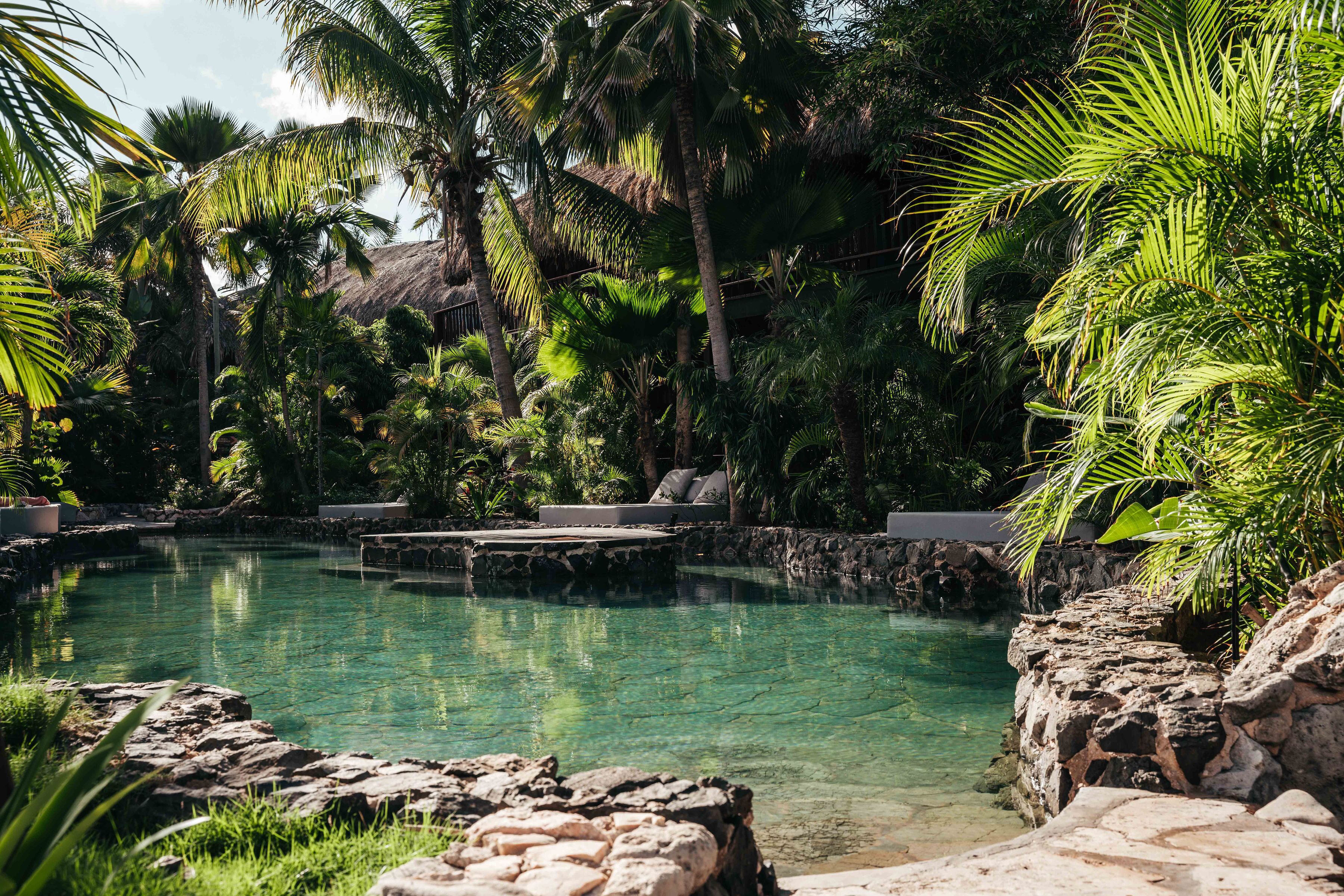 A clear pool surrounded by lush greenery and stone walls.