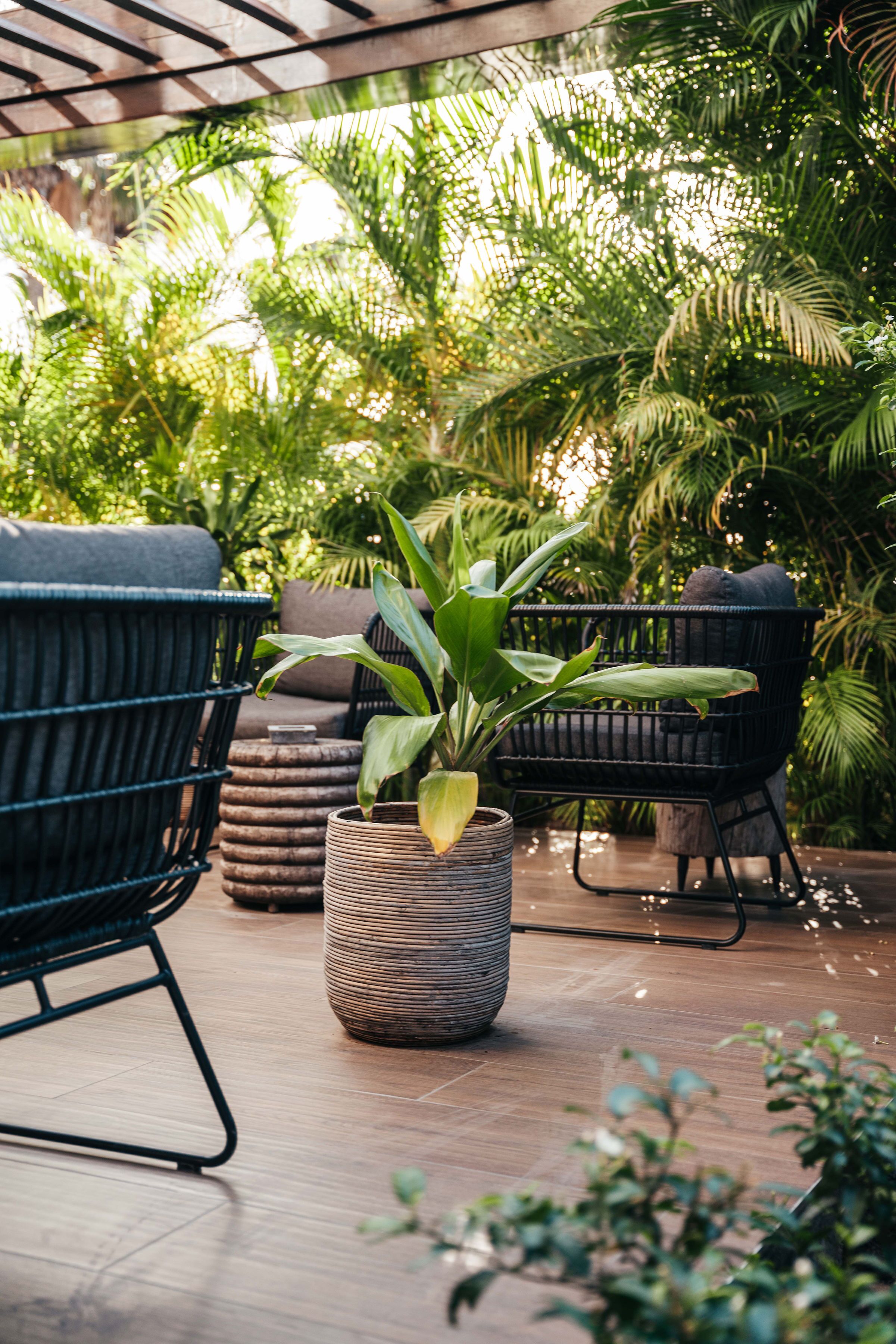 A wooden deck with wicker chairs and a potted plant.