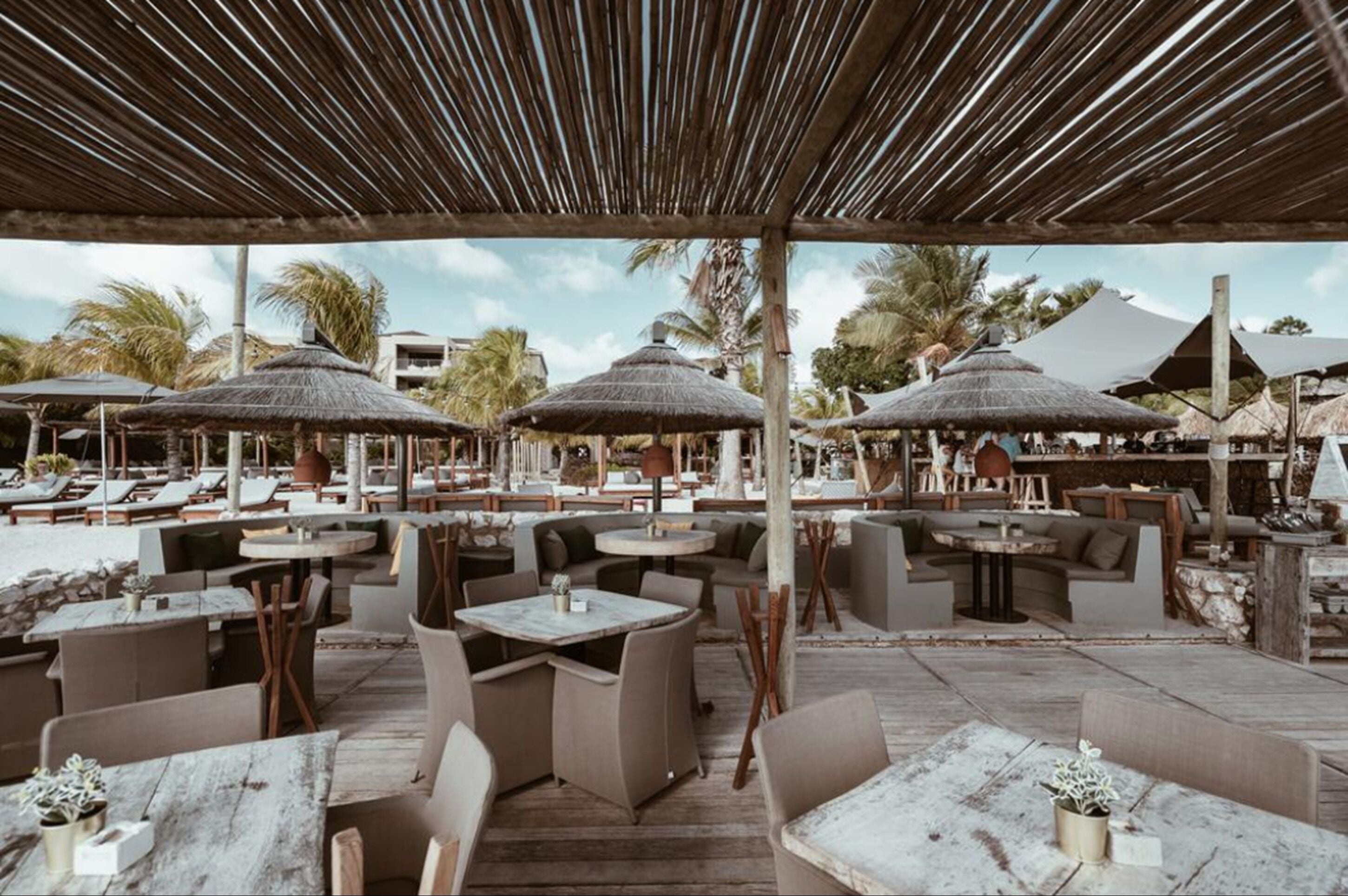 An outdoor seating area with tables and chairs, covered by a wooden pergola, and surrounded by palm trees and beach umbrellas.