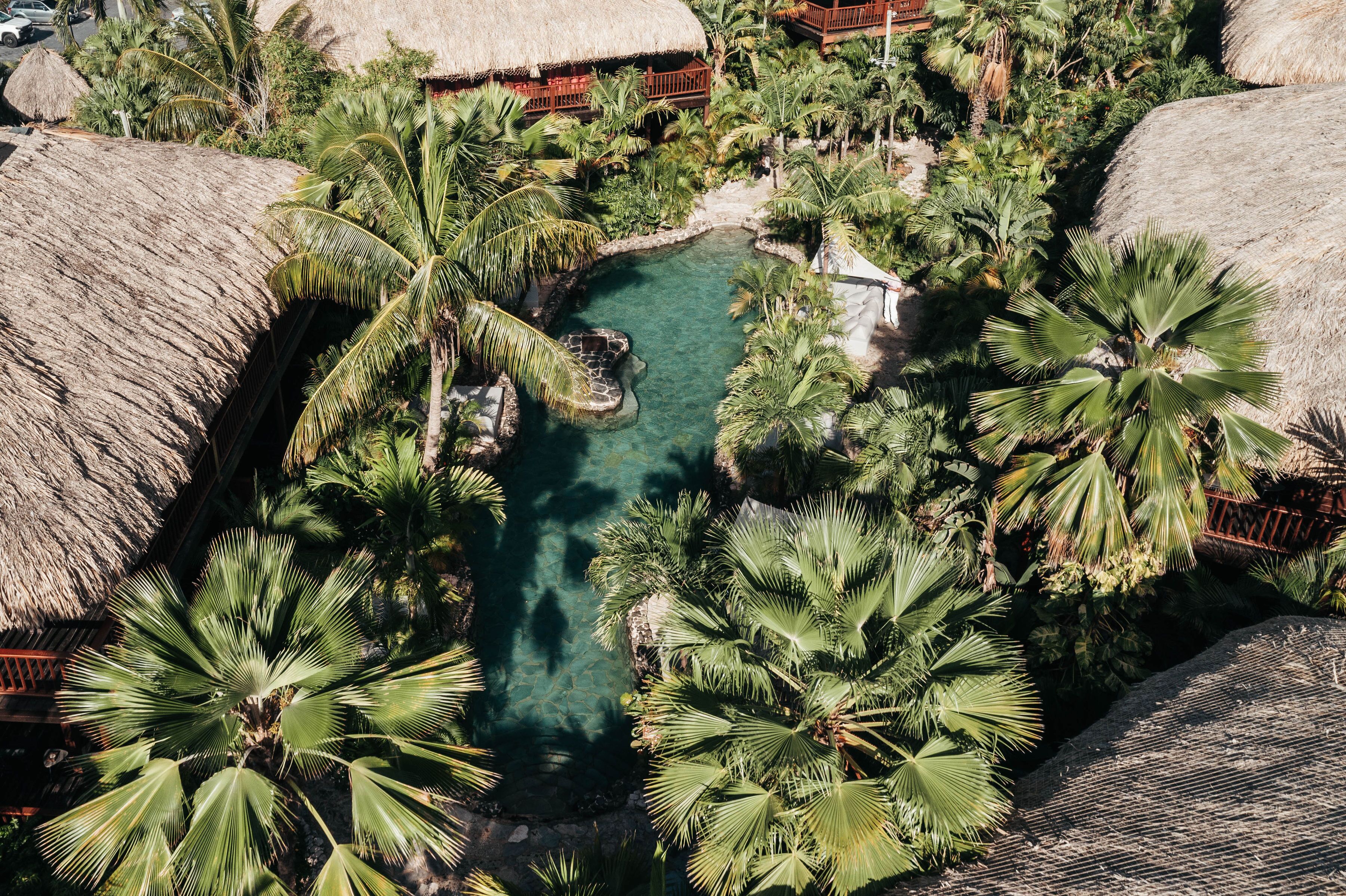 A tropical resort with a clear pool surrounded by palm trees and thatched-roof structures.