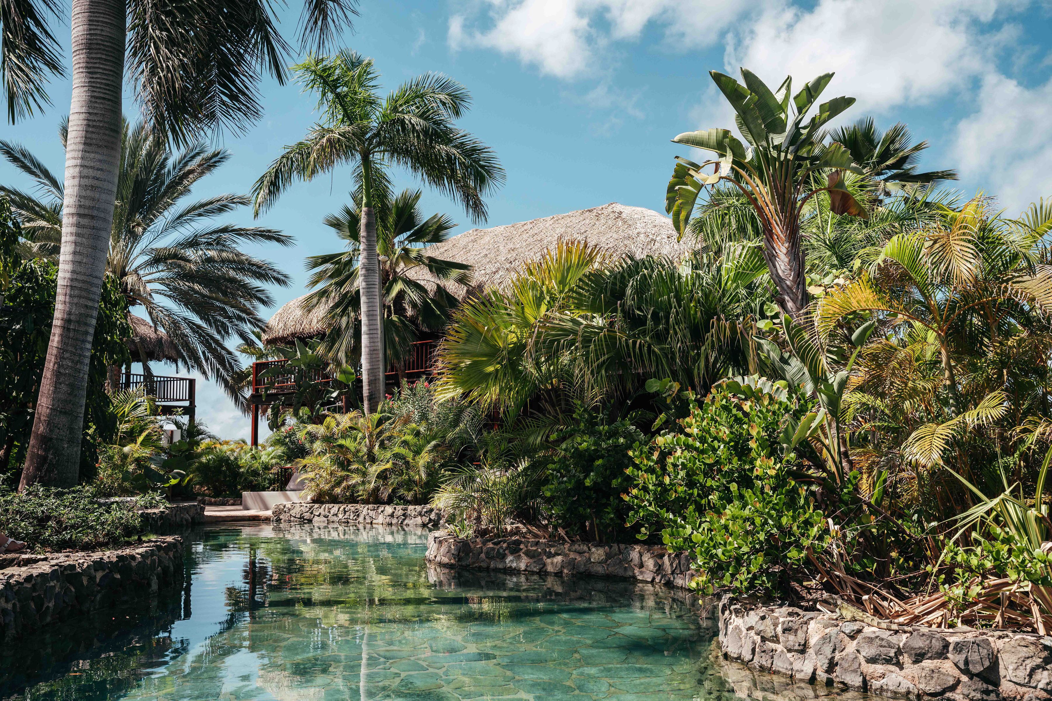 Un resort tropical con una piscina cristalina rodeada de exuberante vegetación y palmeras.