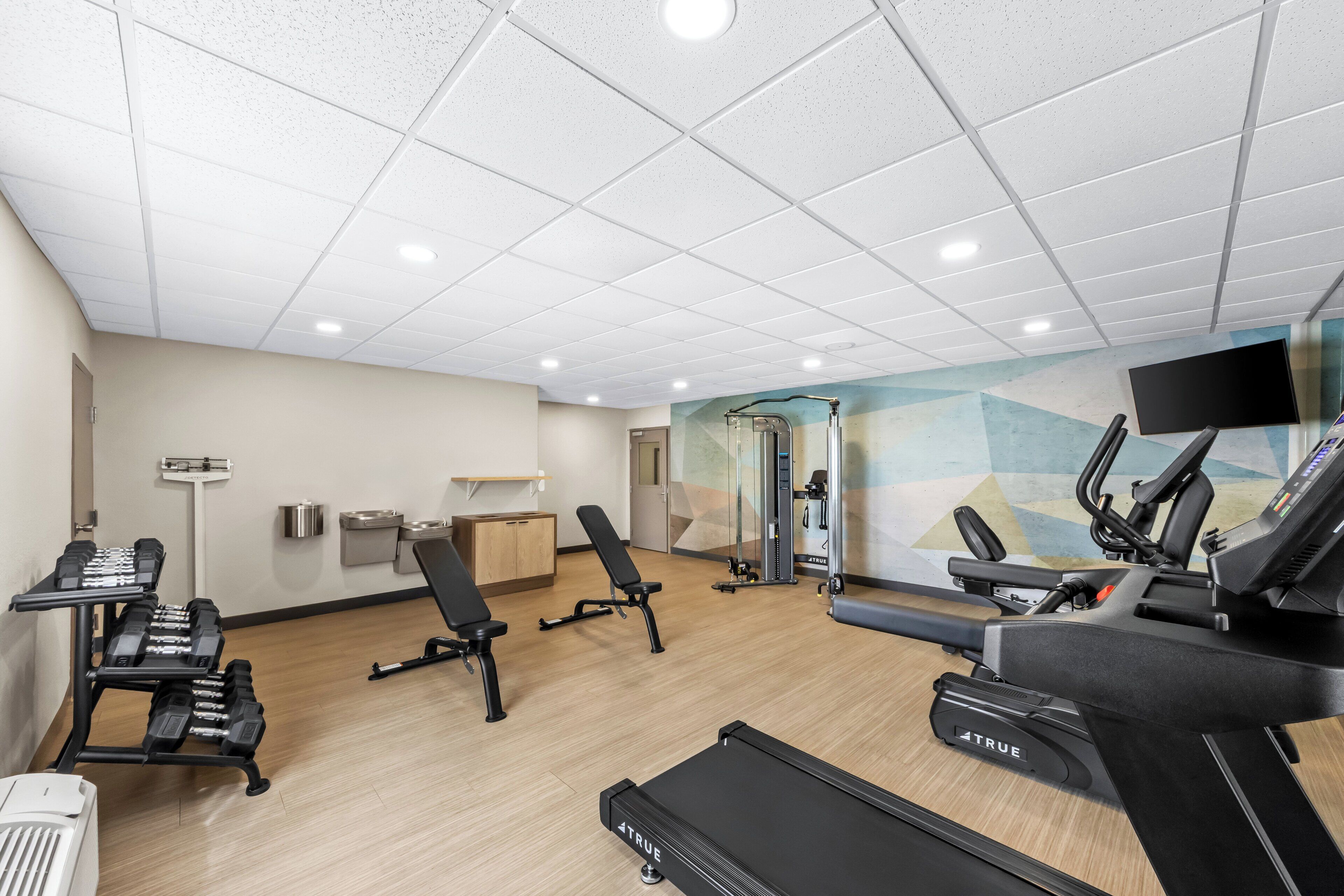 A gym with treadmills, dumbbells, and benches.