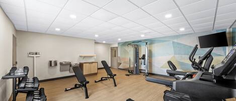 A gym with treadmills, dumbbells, and benches.