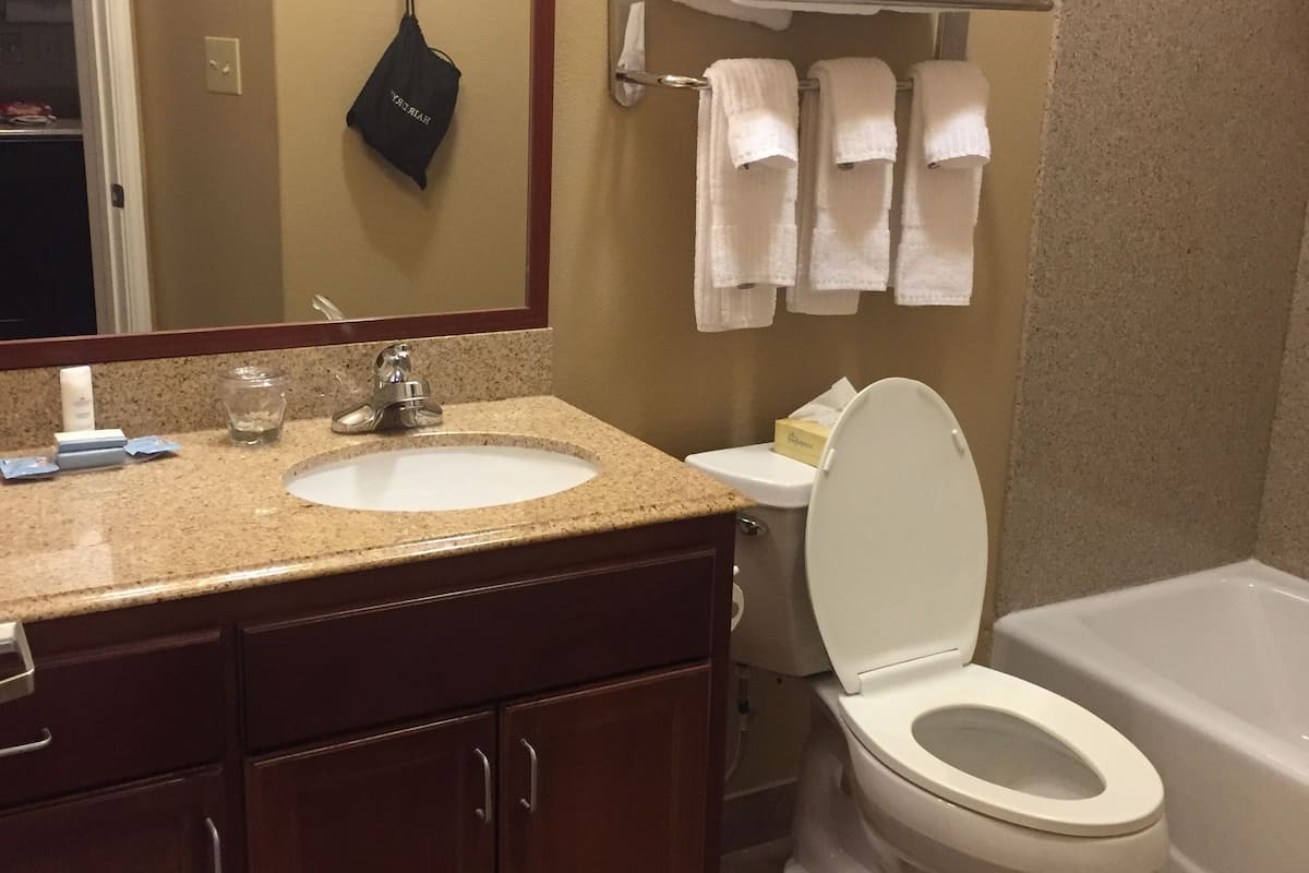 combined shower/bathtub, free toiletries, hair dryer, towels