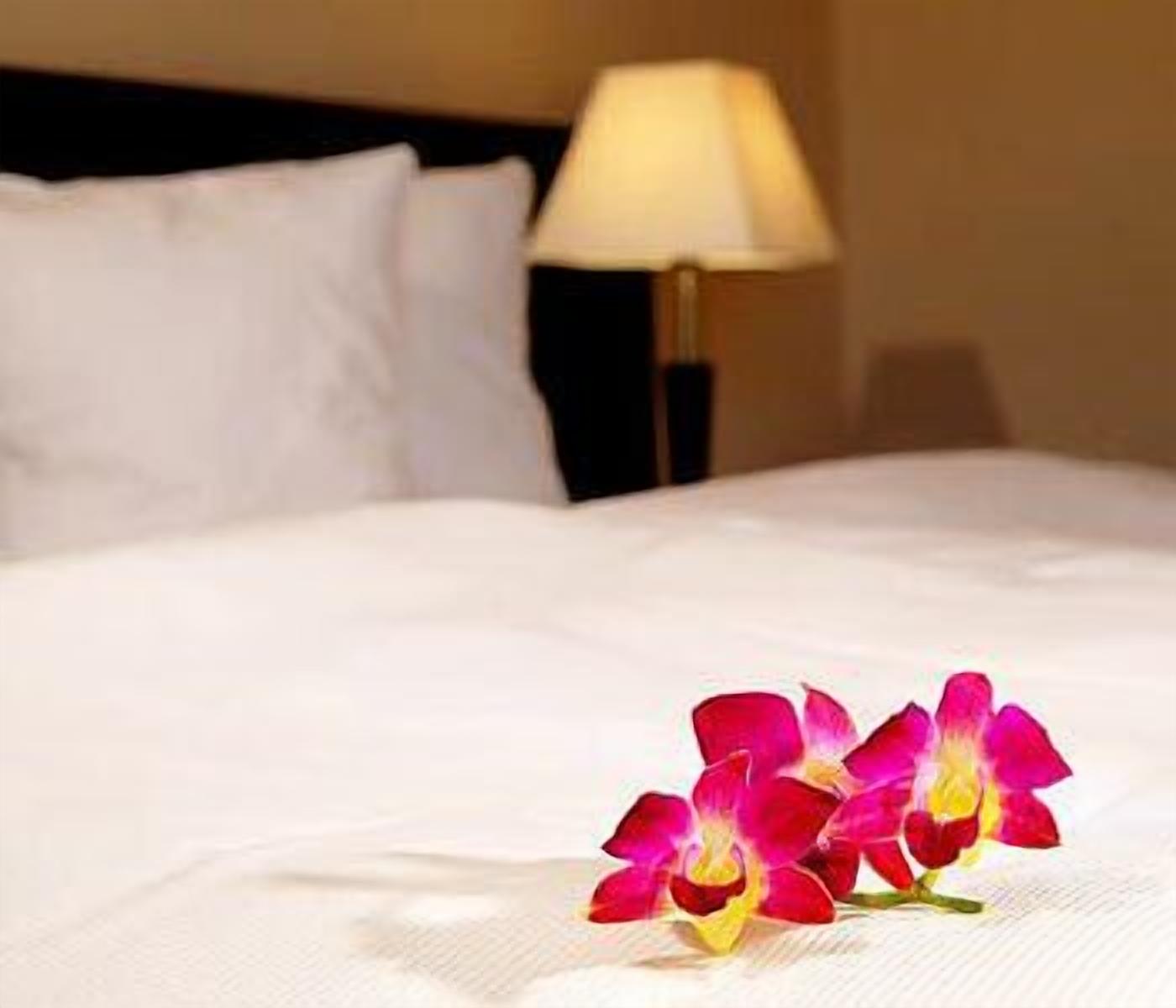 Cama bem arrumada com lençóis brancos e uma única orquídea rosa sobre ela.