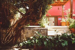 Un mur de pierre, un grand arbre et un bâtiment à la façade rouge.