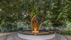 Une statue de Bouddha, placée sous un arbre, sur une plateforme circulaire en pierre.