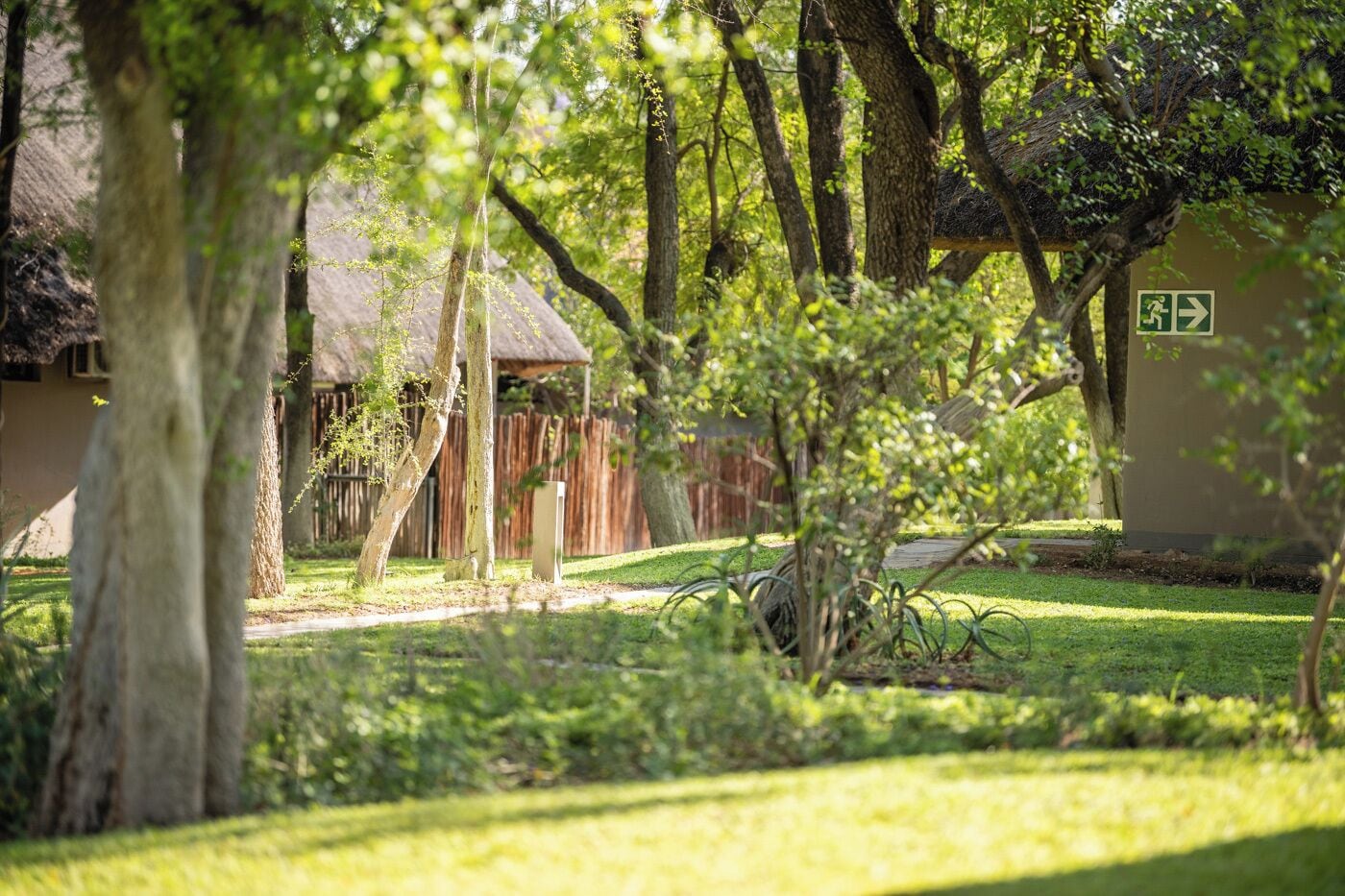A lush garden with trees, a wooden fence, and a building with a thatched roof.