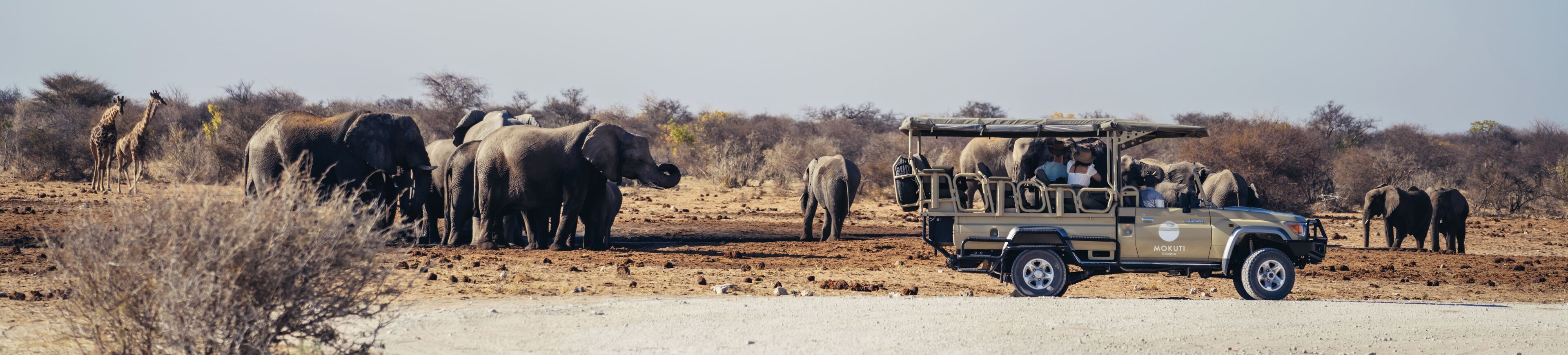 A safari vehicle with passengers observing wildlife, including elephants, in a dry, open landscape.