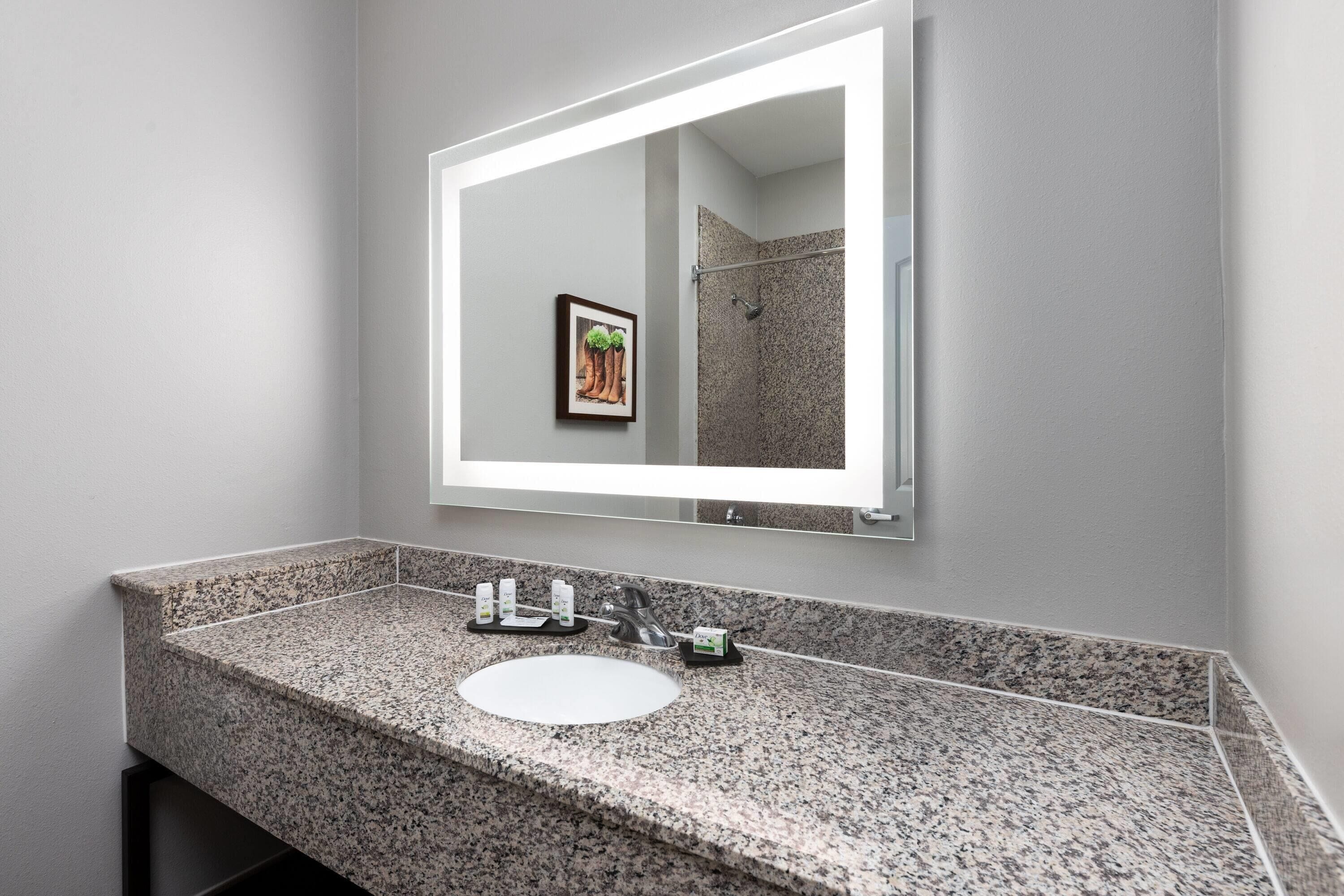 Baño con encimera de granito, lavabo blanco, un cuadro en la pared y una zona de ducha visible en el espejo.