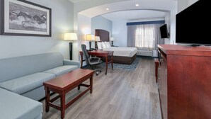 Una habitación de hotel con una cama, un escritorio, un sofá, un televisor y un cuadro en la pared.