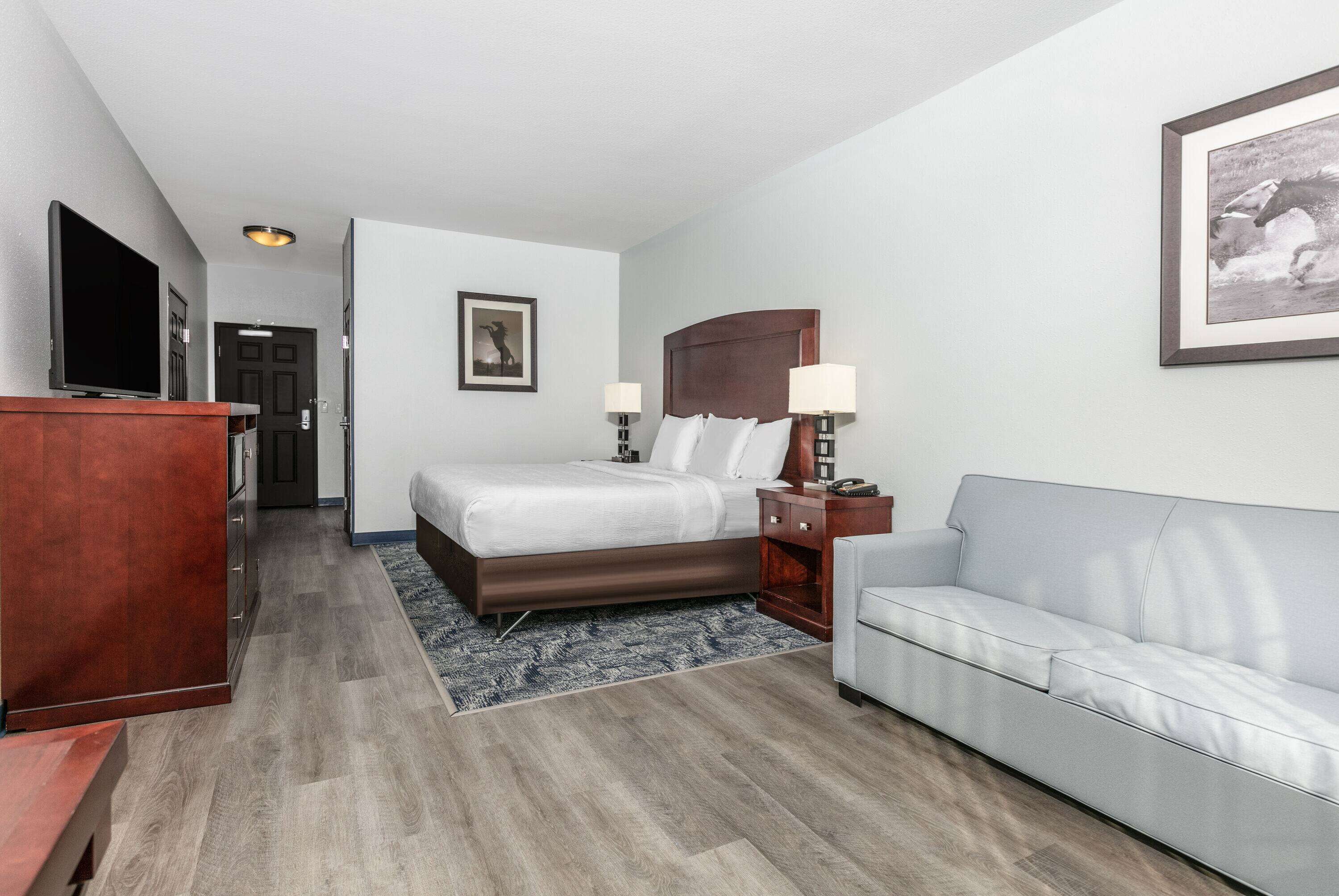 A hotel room with a bed, a TV, a desk, a couch, and a framed picture on the wall.