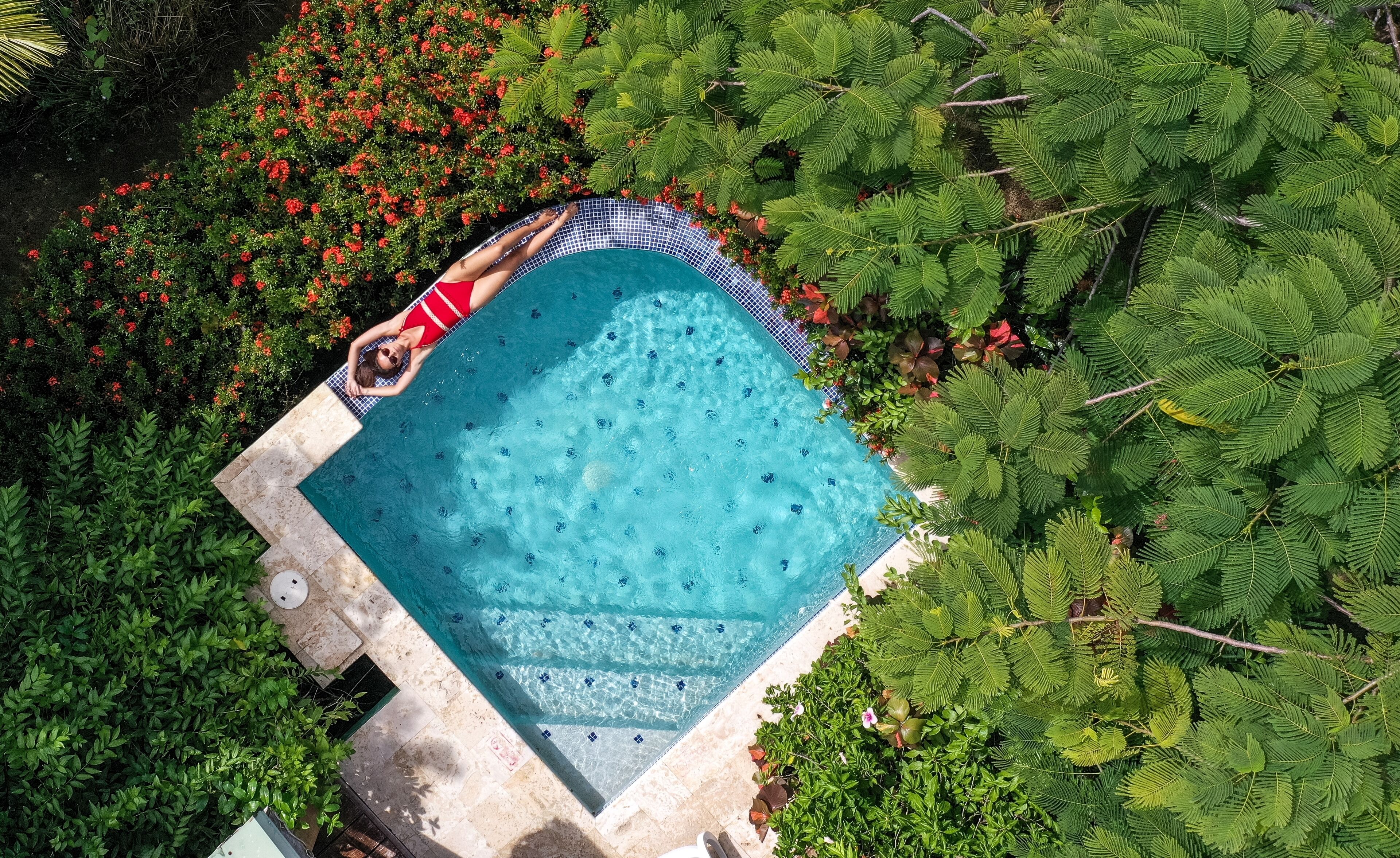 A swimming pool surrounded by lush greenery and red flowers.