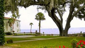 A coastal property with a large tree, a lawn, and a view of the sea.