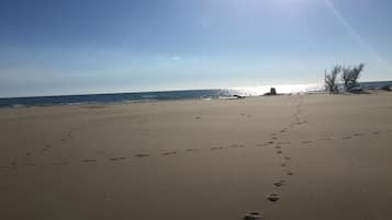 Playa en los alrededores