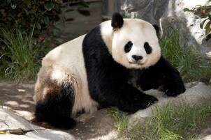 관광명소