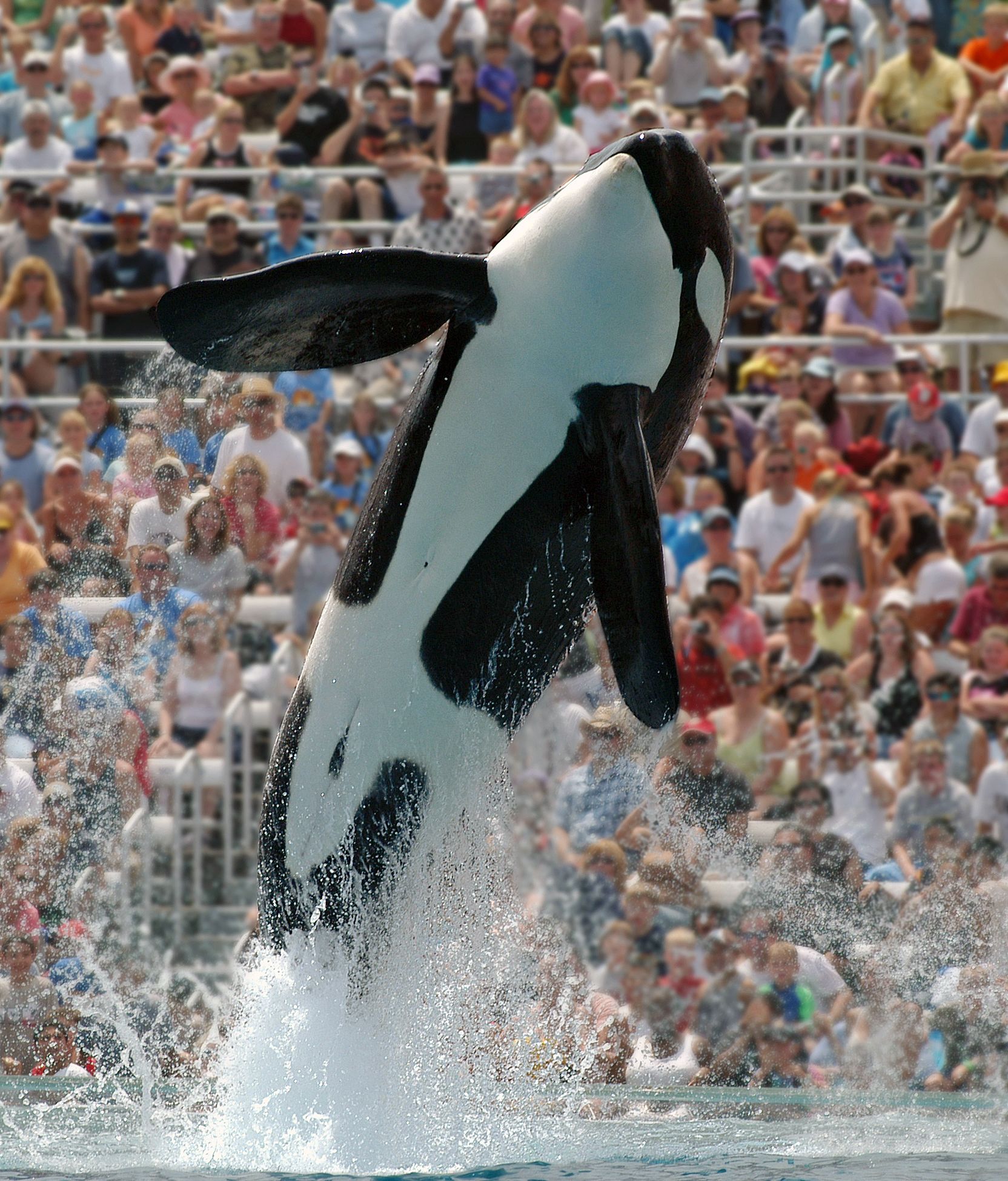 Foto - Hotel Indigo San Diego - Gaslamp Quarter by IHG