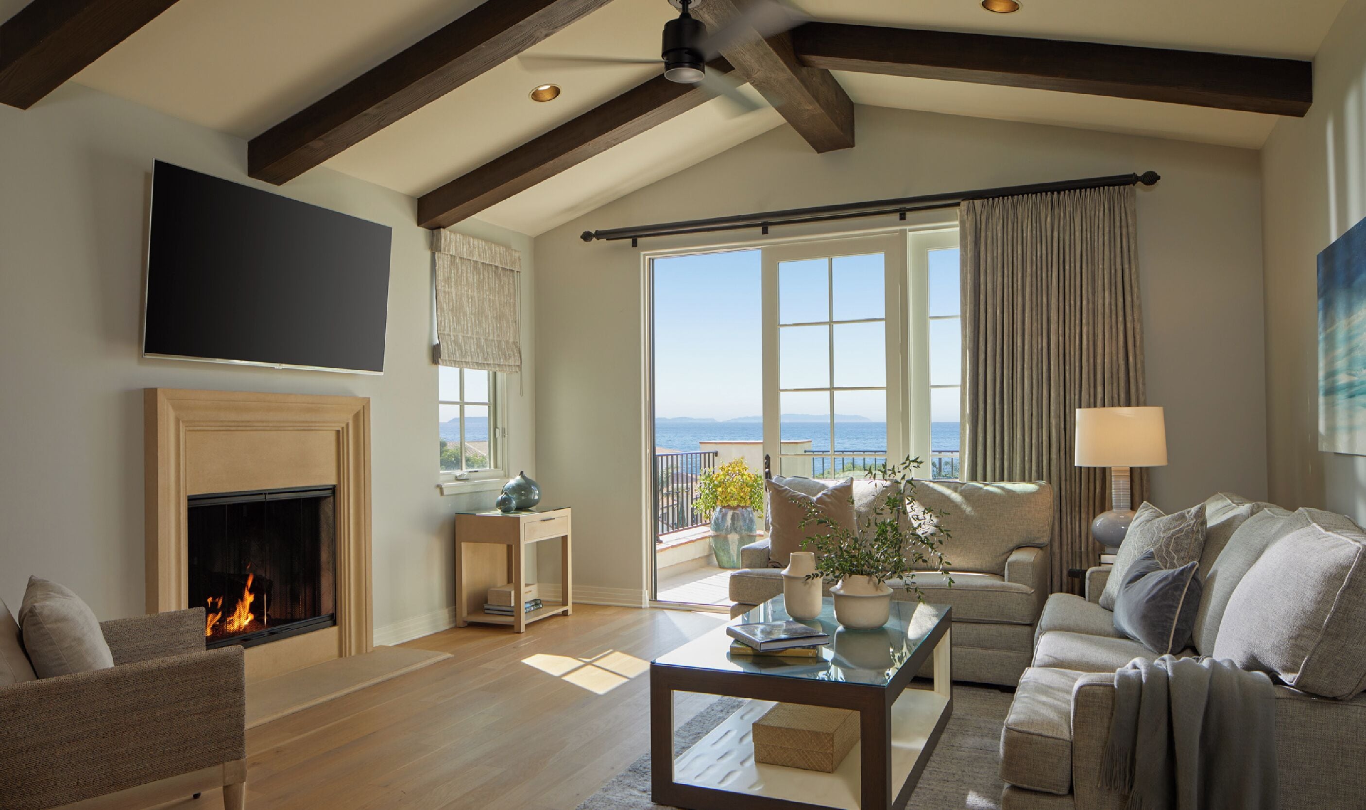 평면 TV, 유료 영화