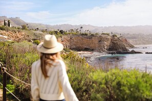 A coastal landscape with a rocky cliff, vegetation, and a view of the ocean. - Terranea Resort (Rancho Palos Verdes)