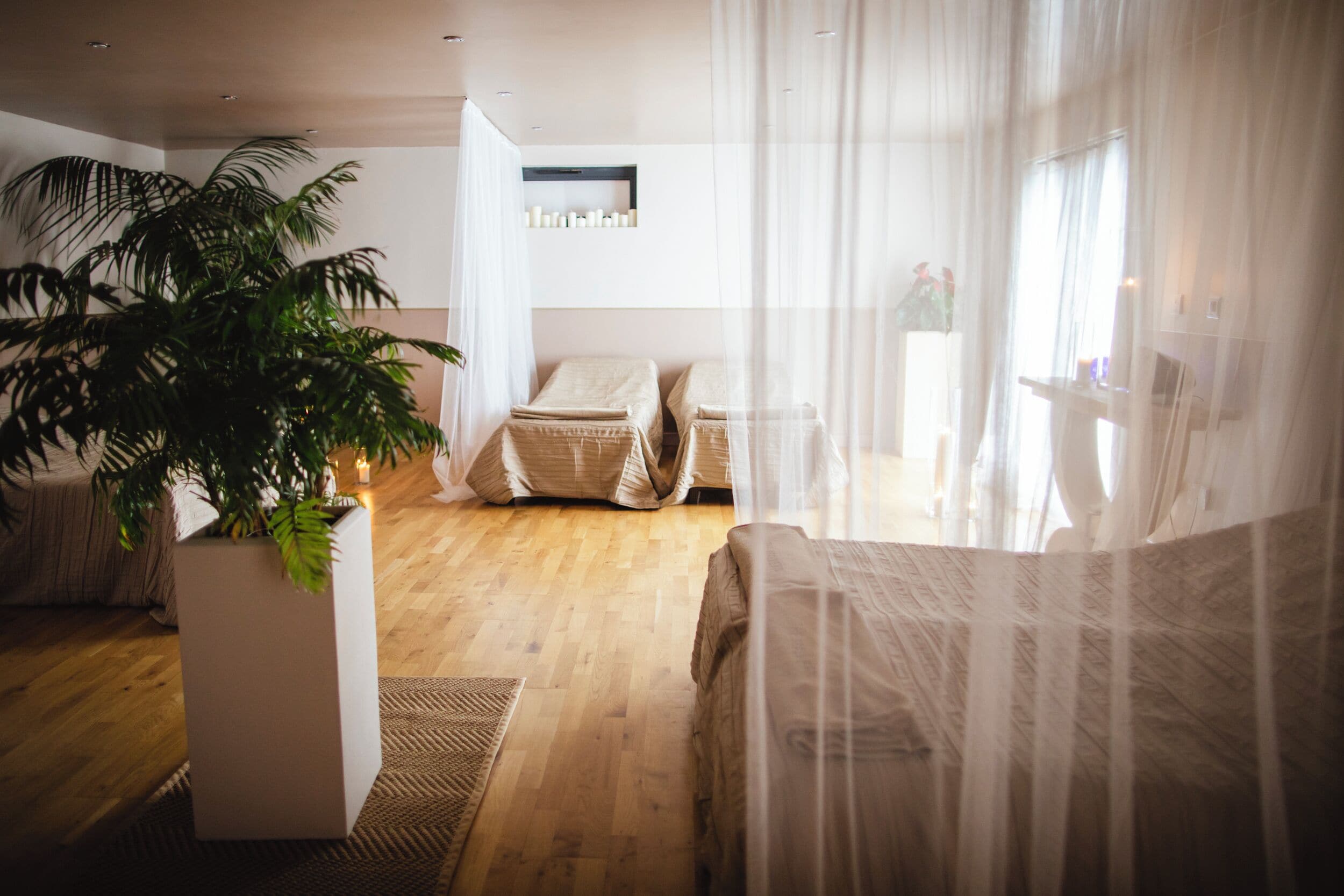 A modern bedroom with a large potted plant, a bed with a canopy, and a bedside table with candles.