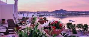 Una terraza con mesas al aire libre, plantas en macetas y vistas a un lago y edificios distantes.