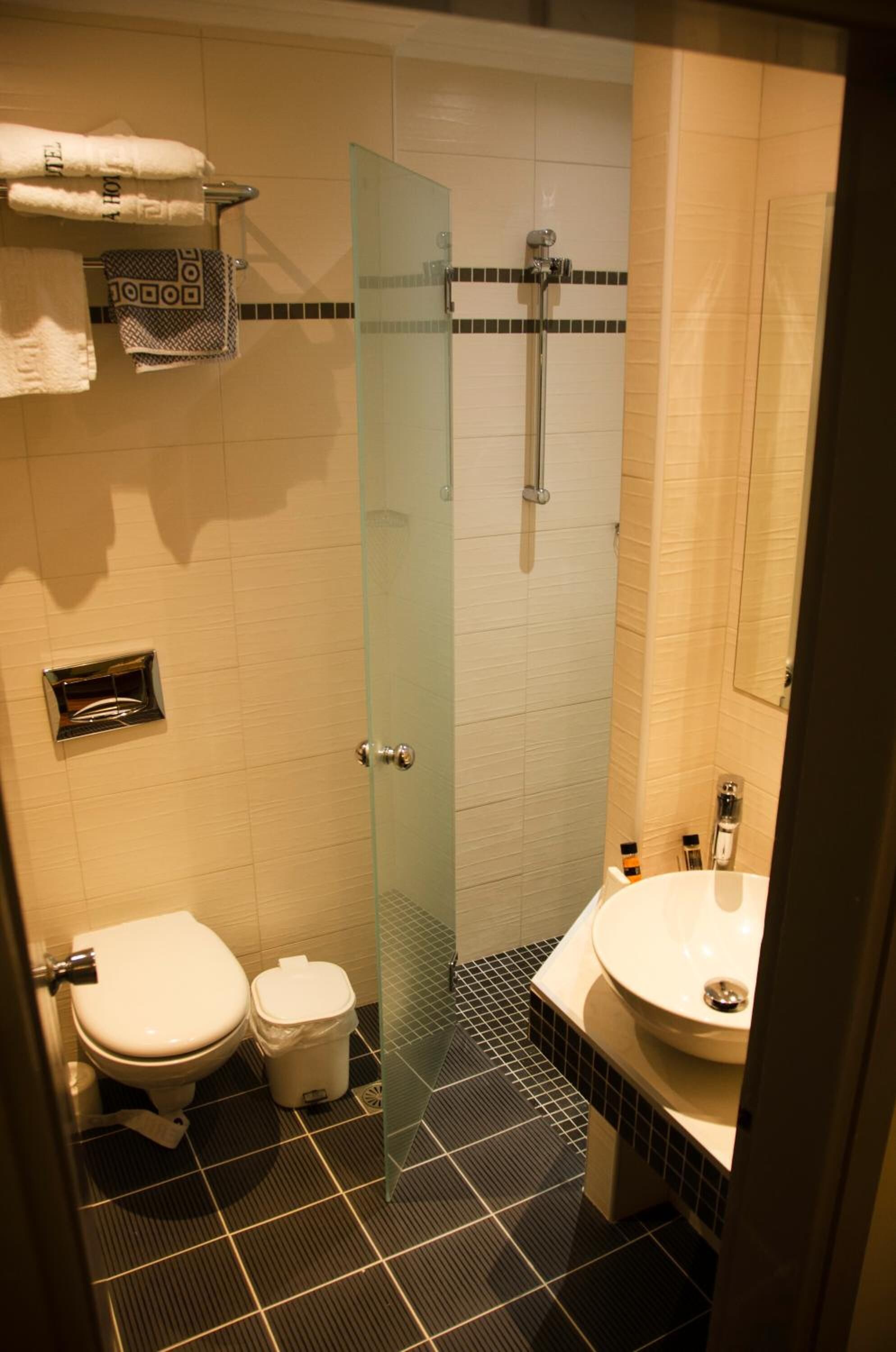A modern bathroom with a glass shower enclosure, a toilet, and a sink.
